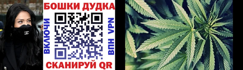 где купить наркоту  блэк спрут ONION  Марихуана планчик  shop состав  Кодинск 